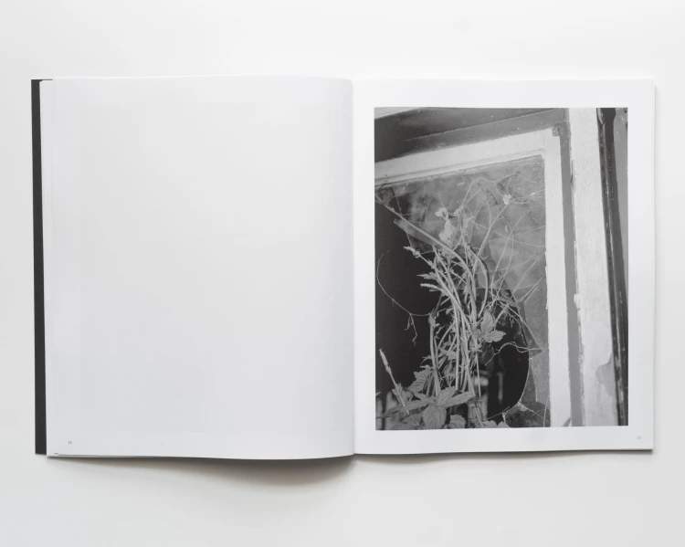 Copy of LMFL BOOK PHOTO-10.jpg