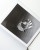Copy of LMFL BOOK PHOTO-11.jpg