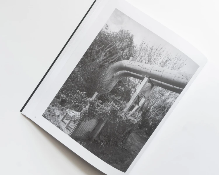 Copy of LMFL BOOK PHOTO-15.jpg