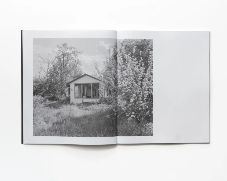 Copy of LMFL BOOK PHOTO-16.jpg