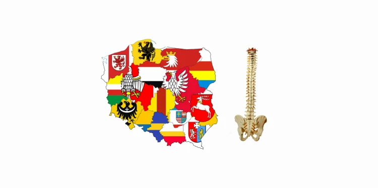 Polski kręgosłup_1.jpg
