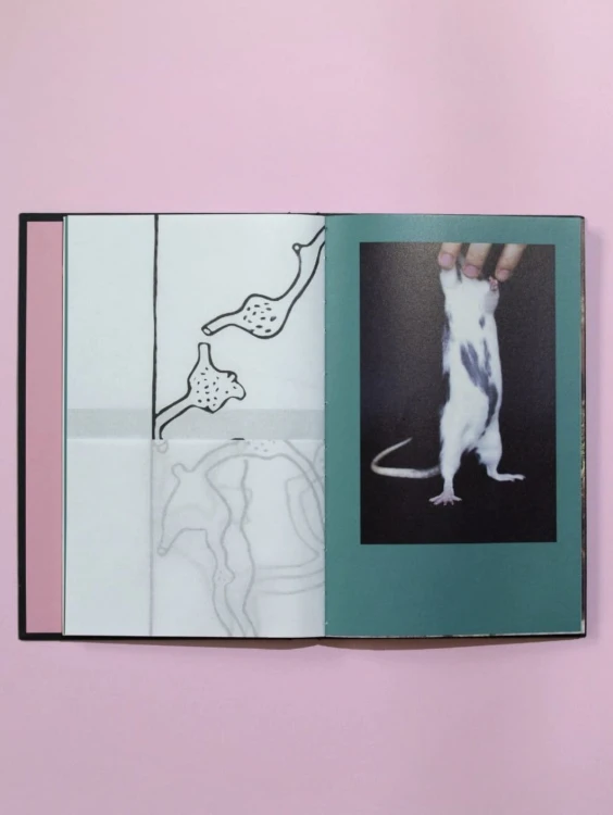 Rattus Sapiens_2.jpg
