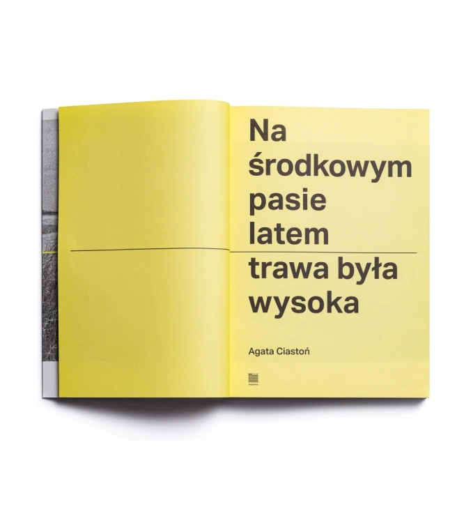 Na-srodkowym-pasie-latem-trawa-byla-wysoka_5.jpg