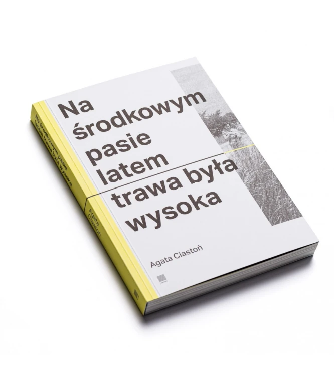 Na-srodkowym-pasie-latem-trawa-byla-wysoka_11.jpg