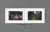 Daniel_Arnold_You_Are_What_You_Do_10.webp