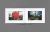Daniel_Arnold_You_Are_What_You_Do_8.webp