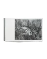 ORACLE_BOOK18.webp