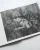 ORACLE_BOOK21.webp