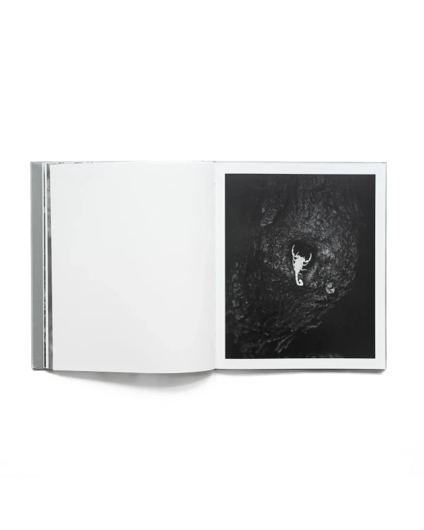 ORACLE_BOOK22_1.webp