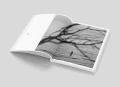 Book_Mockup_Bałtyk.png.webp