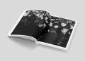 Book_Mockup_wiec.png.webp