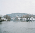 A_Wounded_Landscape_Marc_Wilson_5