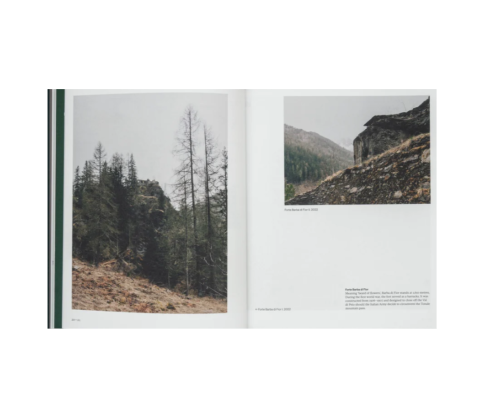 Remnants_Marc_Wilson_1