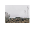Remnants_Marc_Wilson_2