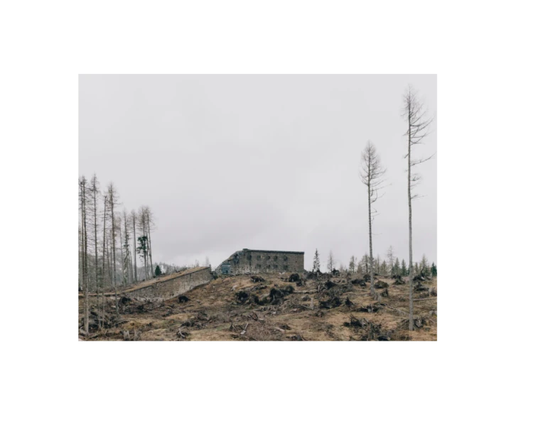 Remnants_Marc_Wilson_2