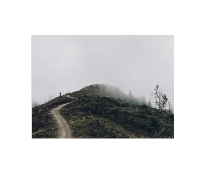 Remnants_Marc_Wilson_3