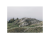Remnants_Marc_Wilson_4