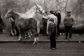Martin_Parr_Early_Works_1.jpg