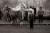 Martin_Parr_Early_Works_1.jpg