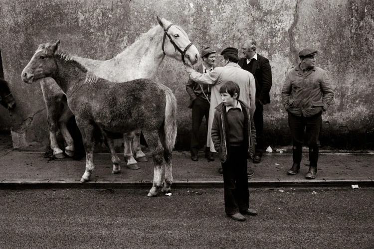 Martin_Parr_Early_Works_1.jpg