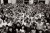 Martin_Parr_Early_Works_2.jpg