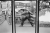 Tony_Ray-Jones_3