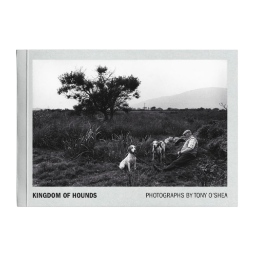Kingdom_of_Hounds_Tony_O'Shea (1).png