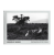 Kingdom_of_Hounds_Tony_O'Shea (1).png