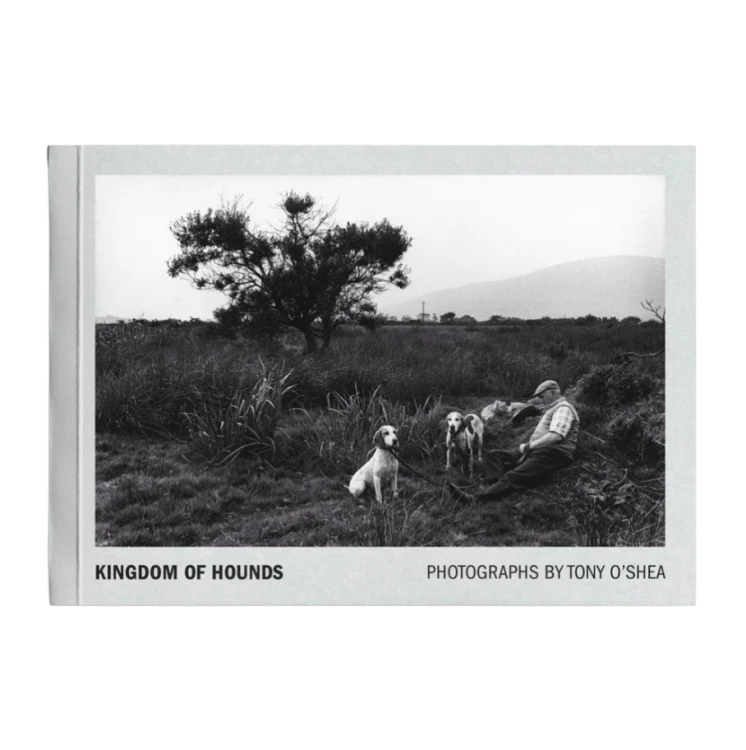 Kingdom_of_Hounds_Tony_O'Shea (1).png