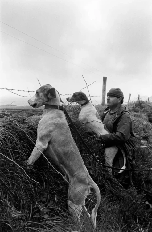 Kingdom_of_Hounds_Tony_O'Shea (4).png