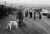 Kingdom_of_Hounds_Tony_O'Shea (6).png