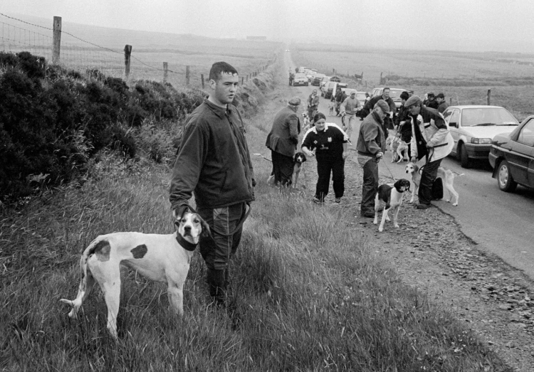 Kingdom_of_Hounds_Tony_O'Shea (6).png