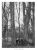 Trees_of_Great_Britain_and_Ireland_2