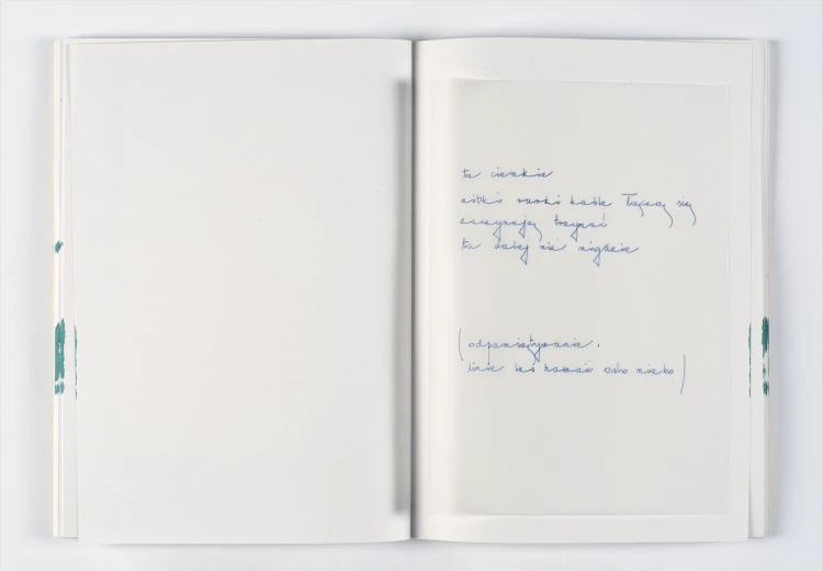 No.12_Sputnik_Photos_Program_Mentorski (7).png