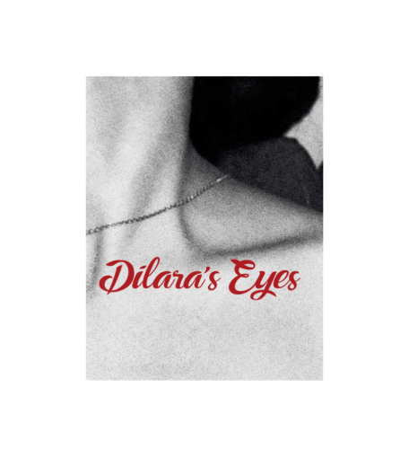 Dilara's_Eyes-6-2.png