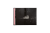 Rattus_Sapiens_Maryia_Karneyenka_2.png
