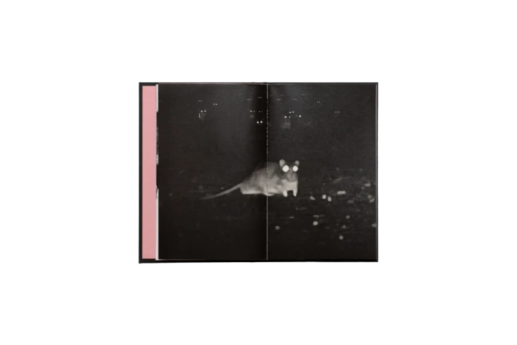 Rattus_Sapiens_Maryia_Karneyenka_2.png