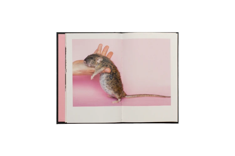 Rattus_Sapiens_Maryia_Karneyenka_5.png