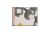 Rattus_Sapiens_Maryia_Karneyenka_6.png