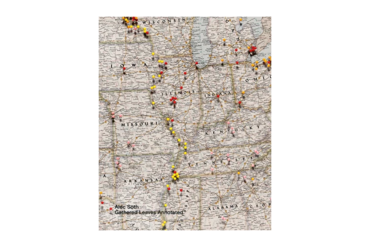 alec_soth_gathered_leaves_annotated.png