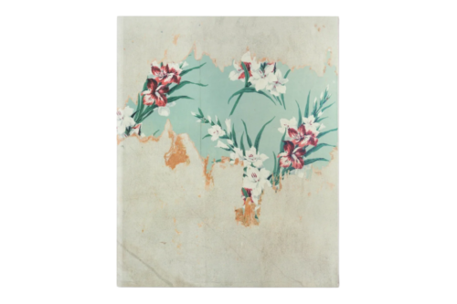 alec_soth_gathered_leaves_annotated (1).png