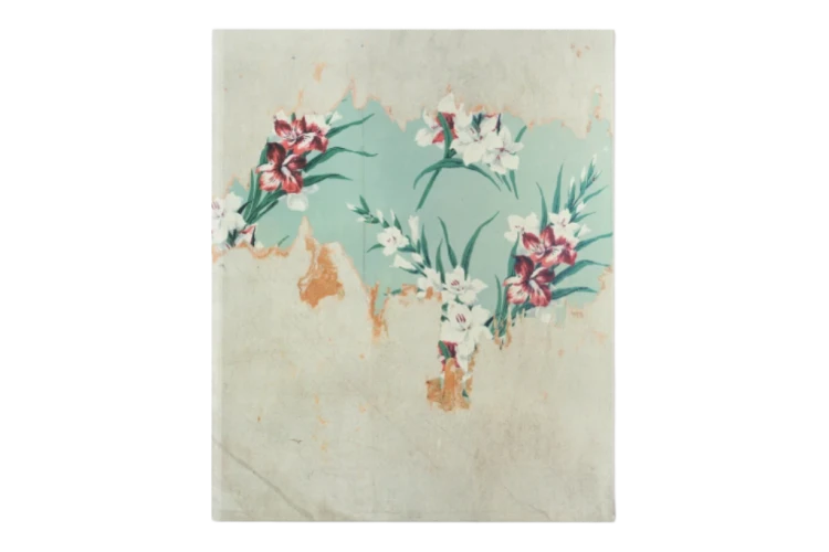 alec_soth_gathered_leaves_annotated (1).png