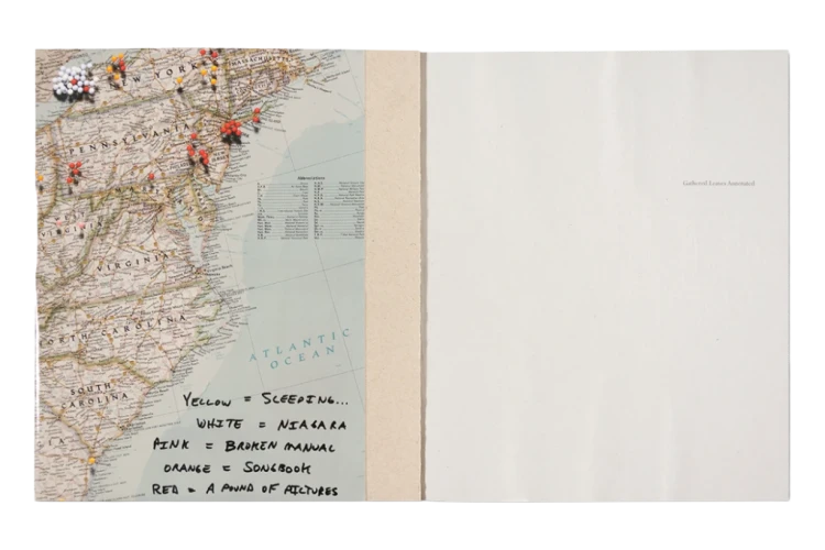 alec_soth_gathered_leaves_annotated (2).png
