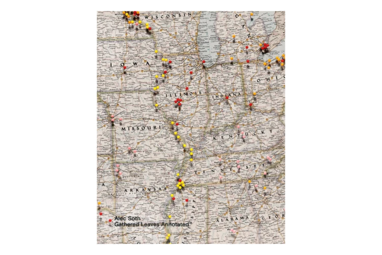 alec_soth_gathered_leaves_annotated (5).png