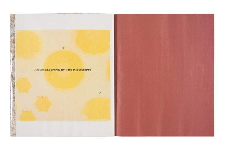 alec_soth_gathered_leaves_annotated (7).png