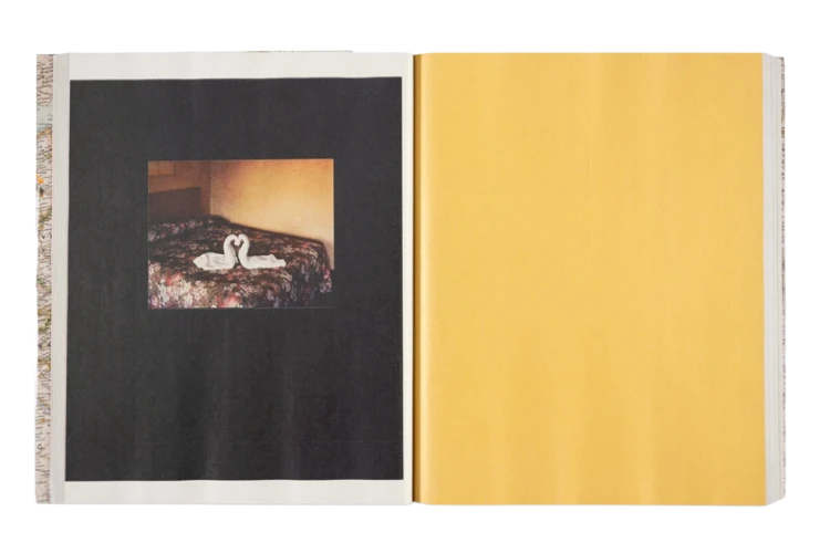 alec_soth_gathered_leaves_annotated (10).png
