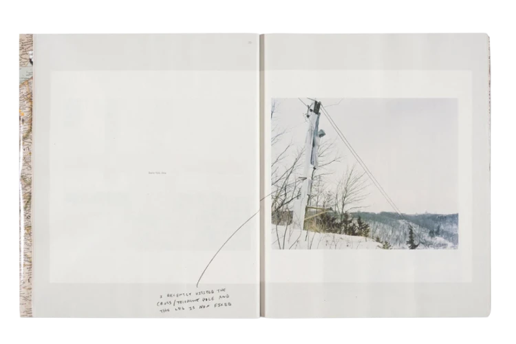 alec_soth_gathered_leaves_annotated (11).png