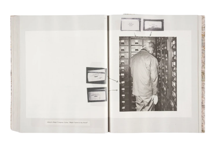 alec_soth_gathered_leaves_annotated (14).png