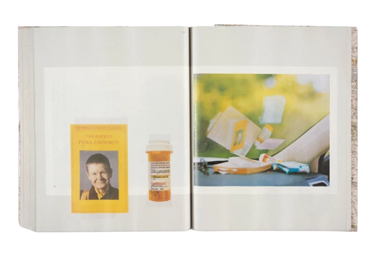 alec_soth_gathered_leaves_annotated (15).png