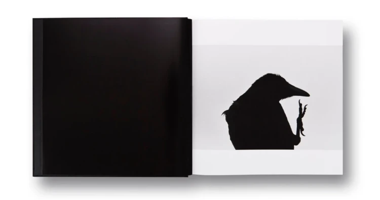 Ravens_masahisa (1).png